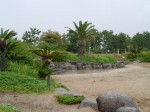 広野海岸公園の写真のサムネイル写真15