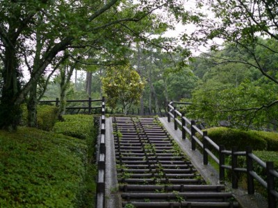 高松緑の森公園の写真3