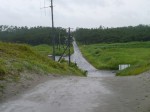 南遠大砂丘（千浜砂丘）の写真のサムネイル写真9