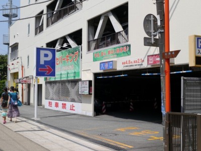 源兵衛川水辺の散歩道の写真