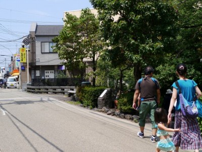 源兵衛川水辺の散歩道の写真2