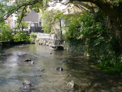 源兵衛川水辺の散歩道の写真4