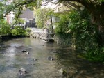 源兵衛川水辺の散歩道の写真のサムネイル写真4