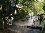 源兵衛川水辺の散歩道の写真のサムネイル写真5