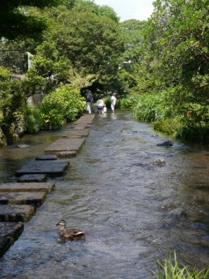 源兵衛川水辺の散歩道の写真9