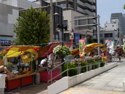 三島夏祭りの写真