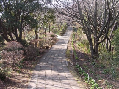 寝姿山自然公園の写真8