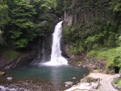 大滝（河津七滝）の写真