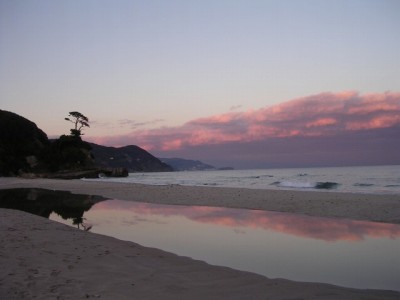 白浜海岸の写真9