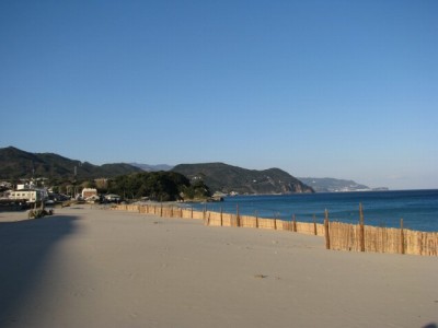 白浜海岸の写真16