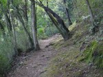 北江間横穴群（大師山）の写真のサムネイル写真7