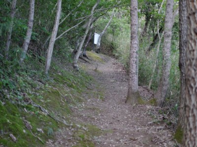 北江間横穴群（大師山）の写真8