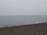 我入道海岸（我入道海水浴場）の写真のサムネイル写真9