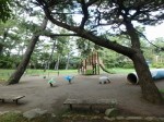 我入道公園の写真のサムネイル写真5