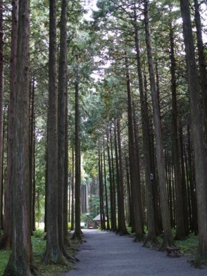 秩父宮記念公園の写真3