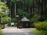 秩父宮記念公園の写真のサムネイル写真4