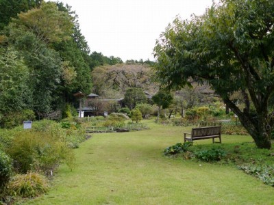 秩父宮記念公園の写真8