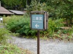 秩父宮記念公園の写真のサムネイル写真10