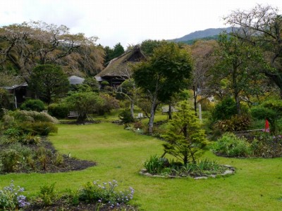 秩父宮記念公園の写真16