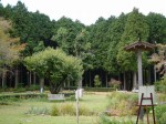 秩父宮記念公園の写真のサムネイル写真18