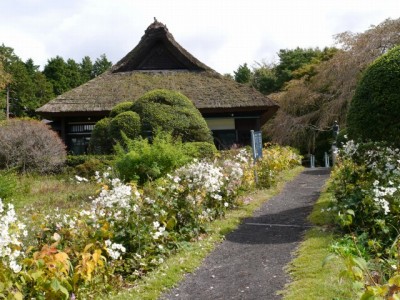 秩父宮記念公園の写真21