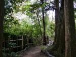 秩父宮記念公園の写真のサムネイル写真27