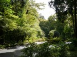 秩父宮記念公園の写真のサムネイル写真34