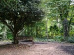 秩父宮記念公園の写真のサムネイル写真35