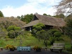 秩父宮記念公園の写真のサムネイル写真37