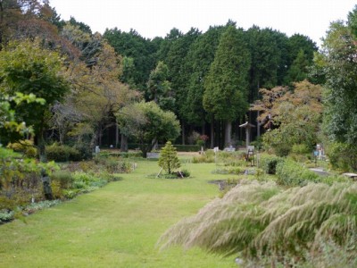 秩父宮記念公園の写真38