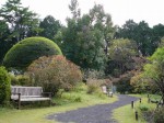 秩父宮記念公園の写真のサムネイル写真41