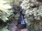 はかま滝の写真のサムネイル写真4