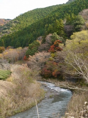 県道220号線沿い（島田市）の写真6