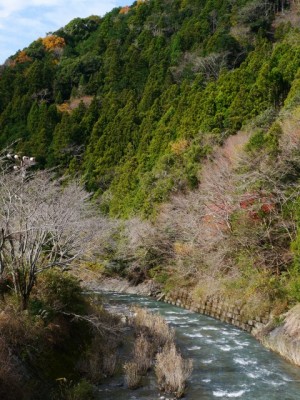 県道220号線沿い（島田市）の写真8