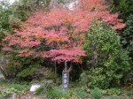 久延寺と夜泣き石の写真のサムネイル写真10