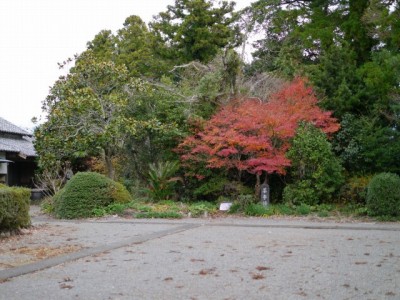 久延寺と夜泣き石の写真12