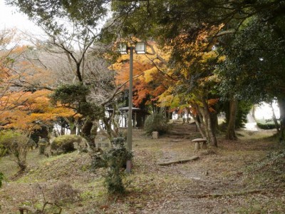 小夜の中山公園の写真4