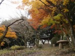 小夜の中山公園の写真のサムネイル写真6