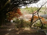 小夜の中山公園の写真のサムネイル写真7