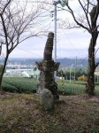 小夜の中山公園の写真のサムネイル写真9