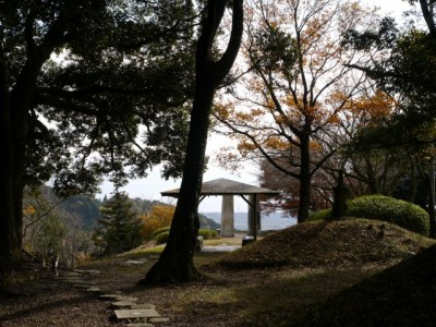 小夜の中山公園の写真12