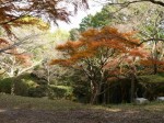 小夜の中山公園の写真のサムネイル写真18