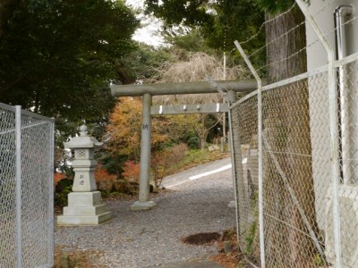 阿波々神社と無間の井戸の写真2
