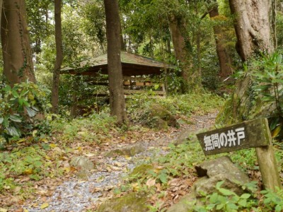 阿波々神社と無間の井戸の写真7