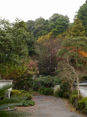 能満寺山公園の写真7