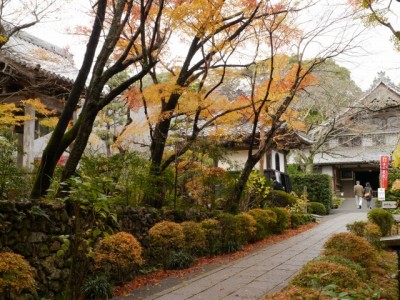 龍潭寺の写真8