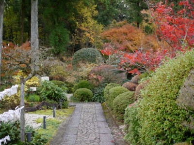 龍潭寺の写真23