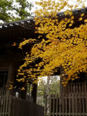 龍潭寺の写真38