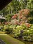 龍潭寺庭園の写真のサムネイル写真3