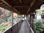 龍潭寺庭園の写真のサムネイル写真5